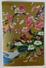 Opakowanie Karnet F25-950 Para kaczek mandarynek