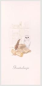 Opakowanie Karnet Gratulacje DL AB01 - Sowa