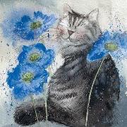 Opakowanie Karnet Kot i chabry