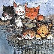 Opakowanie Karnet Kotki