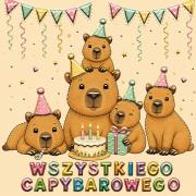 Opakowanie Karnet KW Cute kapibary
