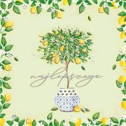 Opakowanie Karnet KW Drzewko cytrynowe