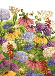 Karnet mini B8 Bukiet kolor. Wydawca: Henry. Dadada.pl Opakowanie Karnet mini B8 Bukiet kolor