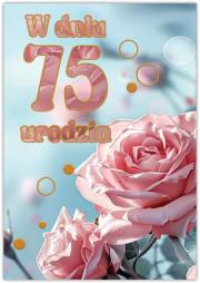 Opakowanie Karnet Silver 75 urodziny