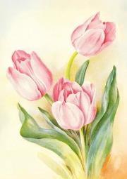 Opakowanie Karnet ST537 B6 + koperta Tulipany