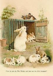 Opakowanie Karnet ST539 B6 + koperta Wielkanoc Króliki