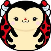 Opakowanie Karnet Uniwersalny - Chonky Ladybug