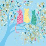 Opakowanie Karnet Uniwersalny - Classy Cats