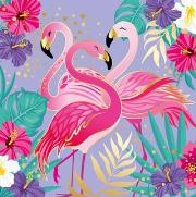 Opakowanie Karnet Uniwersalny - Shiny Flamingos