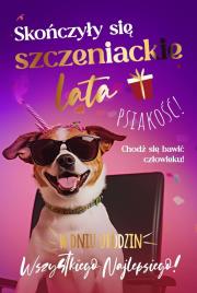 Opakowanie Karnet Urodziny