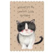 Opakowanie Karnet Urodziny Kotek