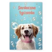 Opakowanie Kartka okolicznościowa W dniu urodzin pies