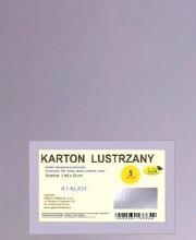 Opakowanie Karton obustronnie lustrzany 350g 21,5x32cm