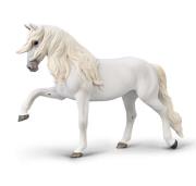 Opakowanie Klacz lipicańska chód hiszpański