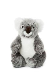 Opakowanie Koala 22cm WWF
