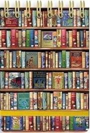 Opakowanie Kołonotatnik linia Książki srebrne