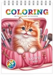 Opakowanie Kolorowanka 148x210 z naklejkami 12 stron Kotki