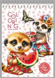 Opakowanie Kolorowanka 148x210 z naklejkami 26obrazków Surykatki