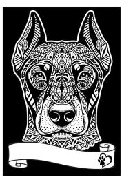 Opakowanie Kolorowanka welwetowa A4 Doberman