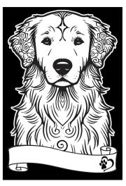 Opakowanie Kolorowanka welwetowa A4 Golden retriever