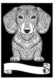 Opakowanie Kolorowanka Welwetowa A4 Jamnik