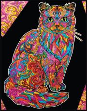 Opakowanie Kolorowanka welwetowa A4 Kot Długowłosy