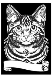 Opakowanie Kolorowanka welwetowa A4 Kot europejski