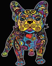 Opakowanie Kolorowanka Welwetowa Colorvelvet 47x35 cm Buldog Francuski
