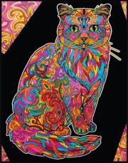 Opakowanie Kolorowanka welwetowa Kot długowłosy 47x35cm