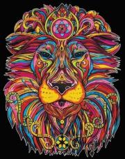 Opakowanie Kolorowanka welwetowa Lew władca 47x35cm