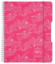 Opakowanie Kołozeszyt A5/80K kratka Colors różowy (4szt)