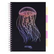 Opakowanie Kołozeszyt Pads A4/100K kratka Głębiny Meduza