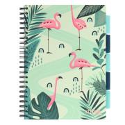 Opakowanie Kołozeszyt Pads A4/100K kratka Jungla zielony