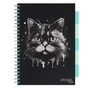 Opakowanie Kołozeszyt Pads A4/100K linia Kot