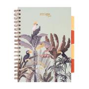 Kołozeszyt Pads B5/100K kratka Afryka pastel ziel. Wydawca: Strigo. Dadada.pl Opakowanie Kołozeszyt Pads B5/100K kratka Afryka pastel ziel