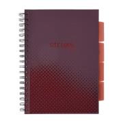 Opakowanie Kołozeszyt Pads B5/100K kratka Basic bordowy