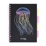 Opakowanie Kołozeszyt Pads B5/100K kratka Głębiny Meduza