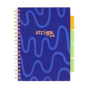 Opakowanie Kołozeszyt Pads B5/100K kratka Neon granatowy