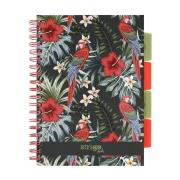 Opakowanie Kołozeszyt Pads B5/100K kratka Tropiki Papuga