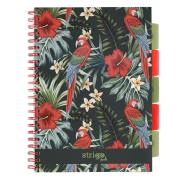 Kołozeszyt Strigo Project Book Papuga A4 kratka czarny. Wydawca: Strigo. Dadada.pl Opakowanie Kołozeszyt Strigo Project Book Papuga A4 kratka czarny