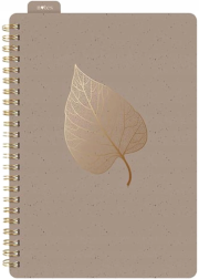 Opakowanie Kołozeszyt z gumką A5/80K linia brązowy