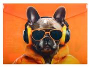 Opakowanie Koperta A4 PP na napę z nadrukiem Cool Dog