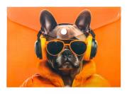 Opakowanie Koperta A5 PP na napę z nadrukiem Cool Dog