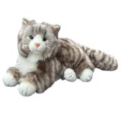 Opakowanie Kot norweski 45cm