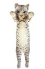 Opakowanie Kot stojący ciemno-szary 55cm