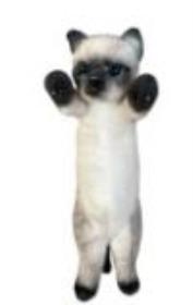 Opakowanie Kot stojący syjamski 25cm