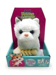 Opakowanie Kotek chodzący z rybką