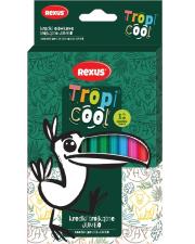 Opakowanie Kredki ołówkowe trójkątne Jumbo 12 kolorów