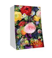 krz zdzierak l KALENDARZ-2. Wydawca: AVANTI. Dadada.pl Opakowanie krz zdzierak l KALENDARZ-2