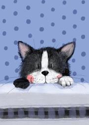 Opakowanie LDC16 Karnecik Mały kot Frisky